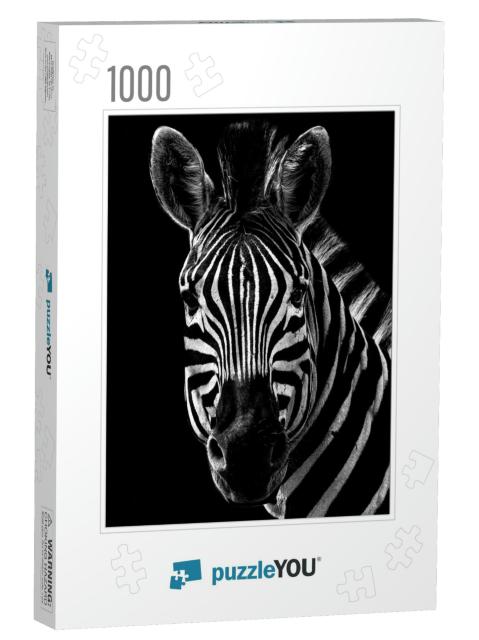 Black & White Zebra Portrait on a Black Background... Jigsaw Puzzle with 1000 pieces