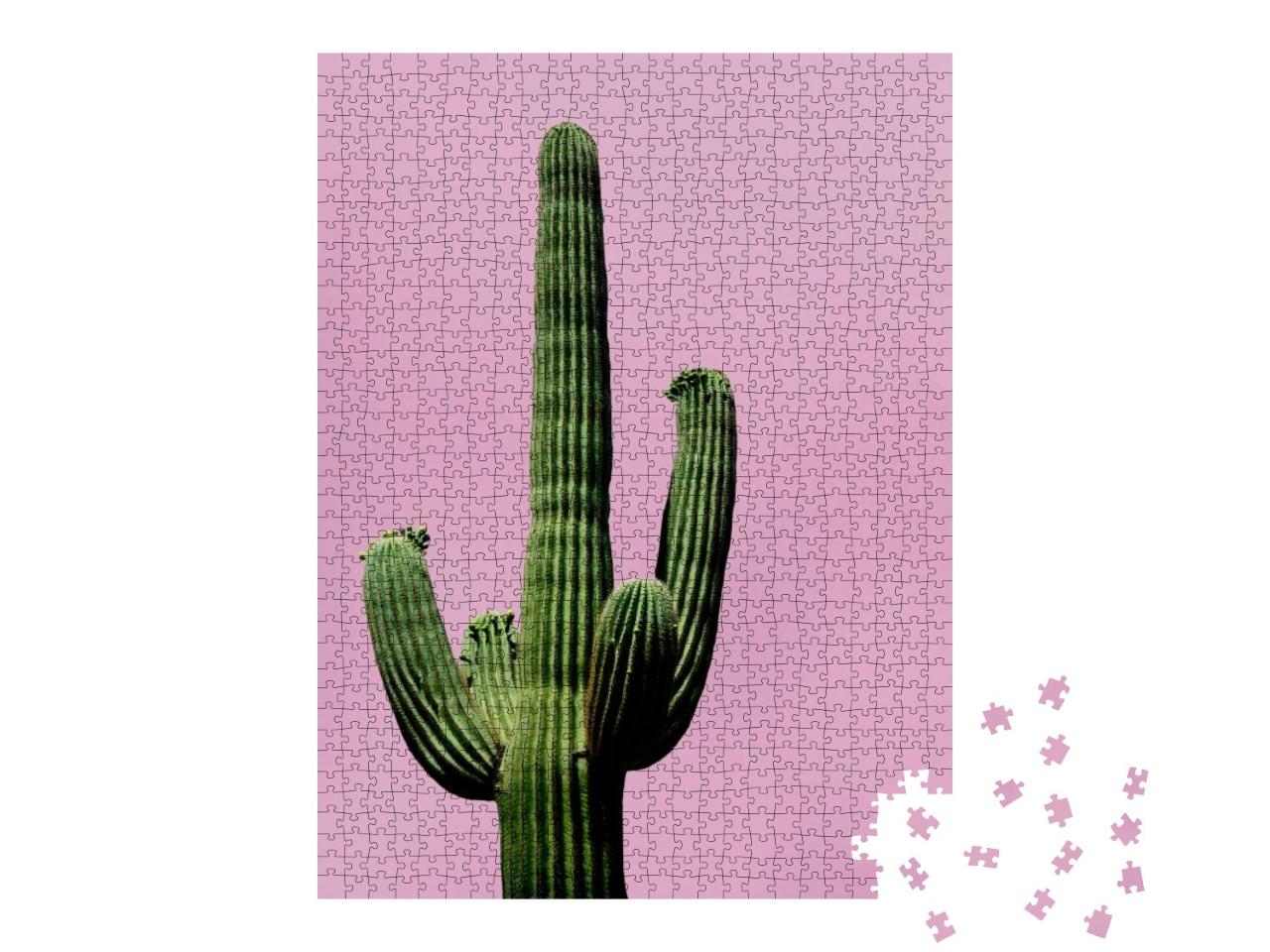 Cactus on the Pink Background Minimal Creative Still Life... Jigsaw Puzzle with 1000 pieces