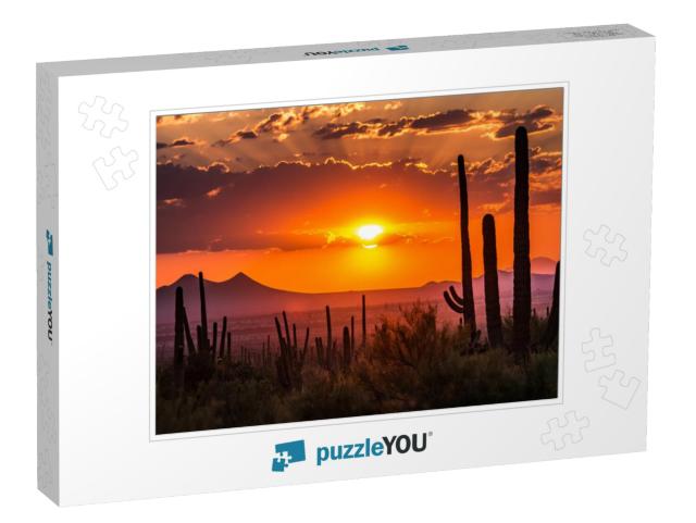 Tucson, Arizona... Jigsaw Puzzle