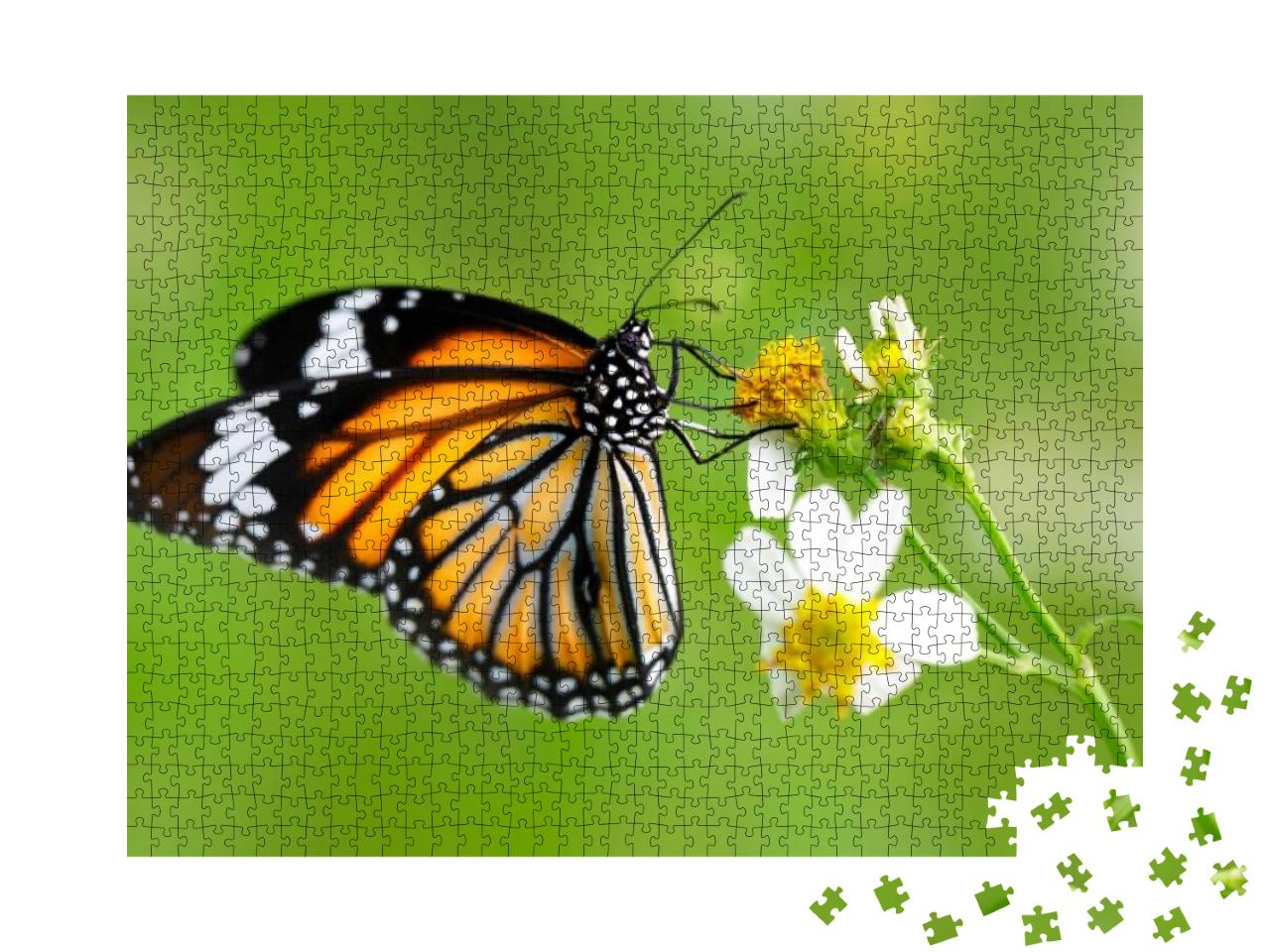 Closeup Butterfly on Flower Common Tiger Butterfly... Jigsaw Puzzle with 1000 pieces