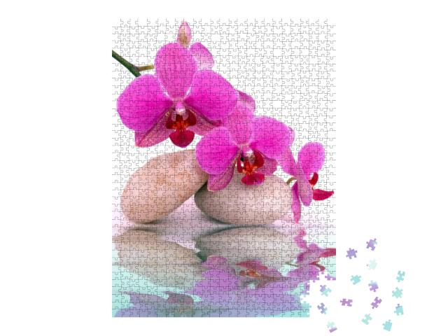 Spa Stones & Orchid Flowers... Jigsaw Puzzle with 1000 pieces