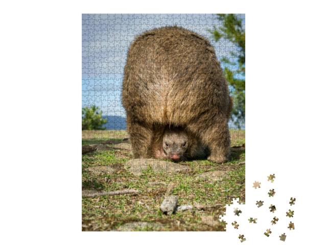 Wombat Baby in Its Pouch... Jigsaw Puzzle with 1000 pieces
