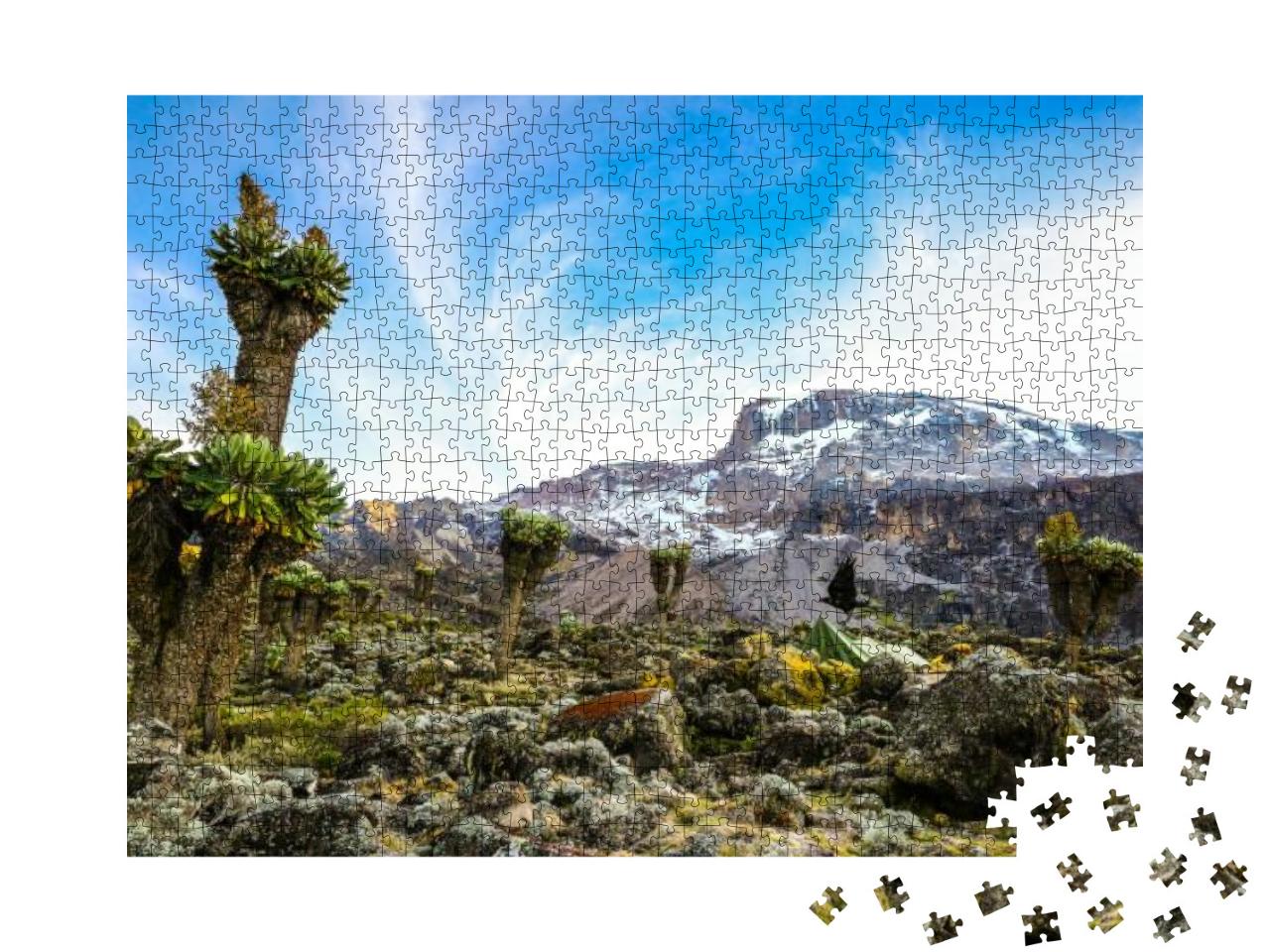 Camping on Mount Kilimanjaro in Tents to See the Glaciers... Jigsaw Puzzle with 1000 pieces