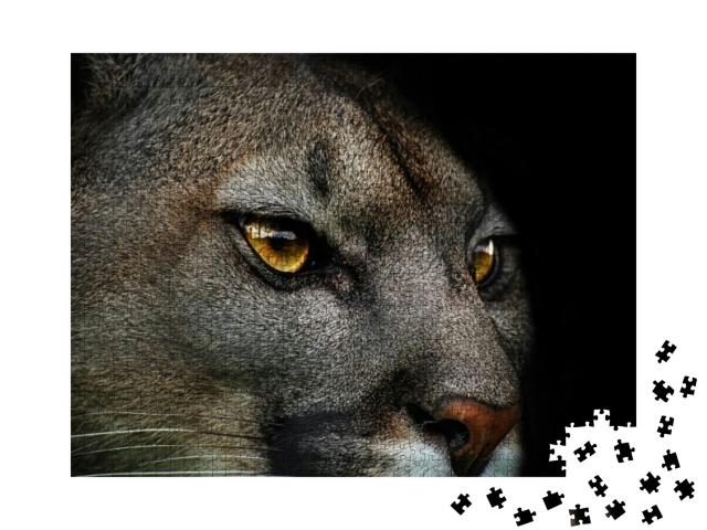 Close-Up of Cougar. Detail Portrait American Puma. Poster... Jigsaw Puzzle with 1000 pieces