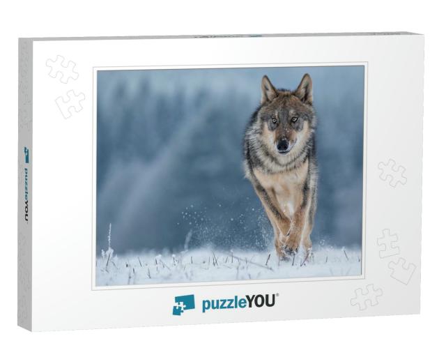 Wolf Runnin in Snow... Jigsaw Puzzle