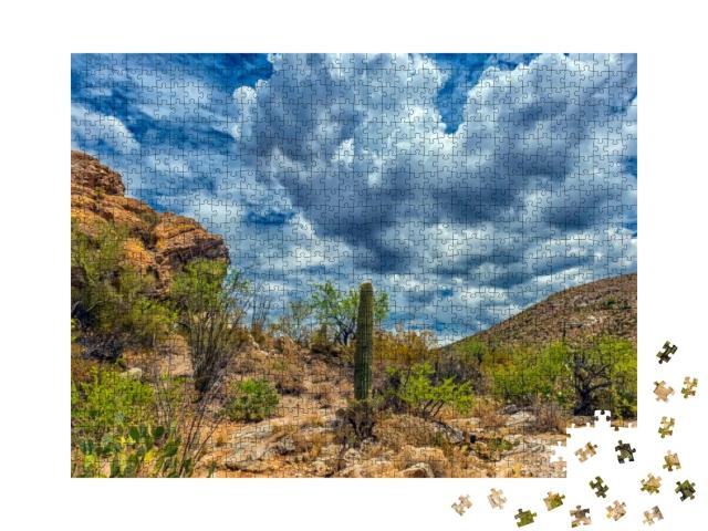 Desert Landscape in Saguaro National Park... Jigsaw Puzzle with 1000 pieces