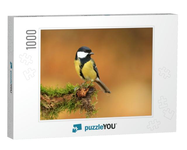 Garden Bird Great Tit, Songbird Sitting on the Nice Branc... Jigsaw Puzzle with 1000 pieces