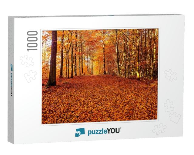 Autumn Forest Road Leaves Fall in Ground Landscape on Aut... Jigsaw Puzzle with 1000 pieces