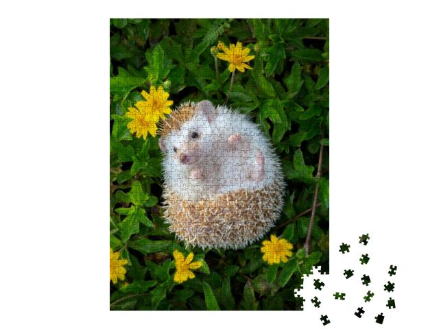 European Hedgehog Playing in the Flower Garden with Very... Jigsaw Puzzle with 1000 pieces
