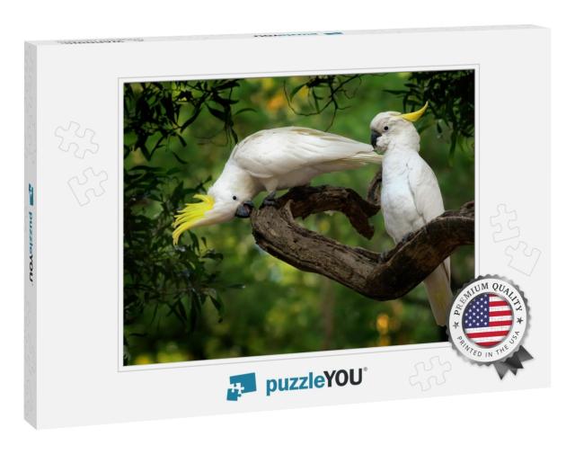 Cacatua Galerita - Sulphur-Crested Cockatoo Sitting on th... Jigsaw Puzzle