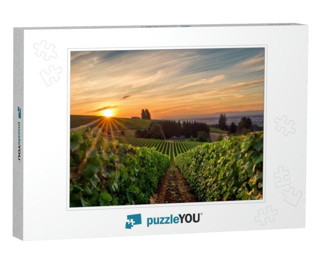 Sun Rising Over a Vineyard in Willamette Valley... Jigsaw Puzzle