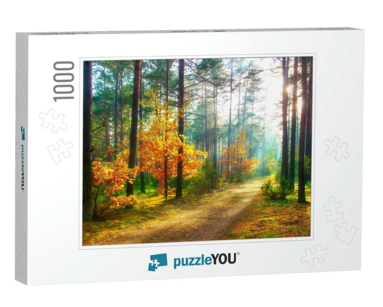 Scenery Autumn Forest. Sunny Woodland. October Nature Lan... Jigsaw Puzzle with 1000 pieces