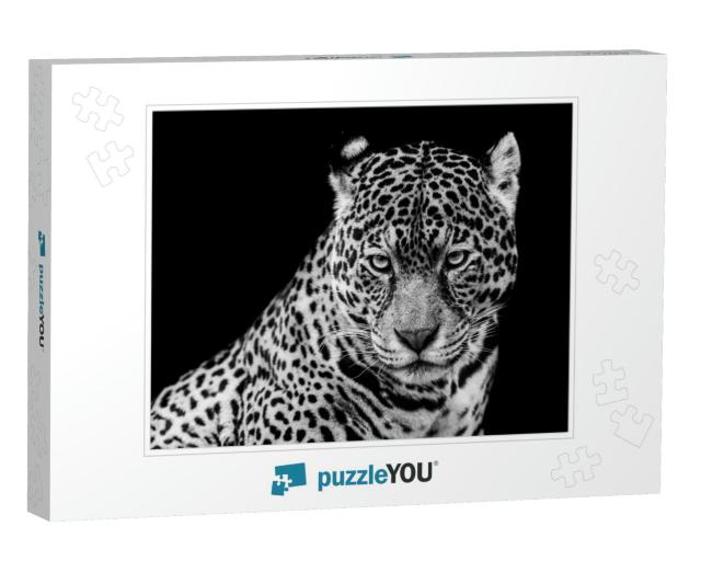 Jaguar with a Black Background in B&W... Jigsaw Puzzle