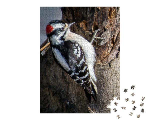 Downy Woodpecker Looking for a Meal... Jigsaw Puzzle with 1000 pieces