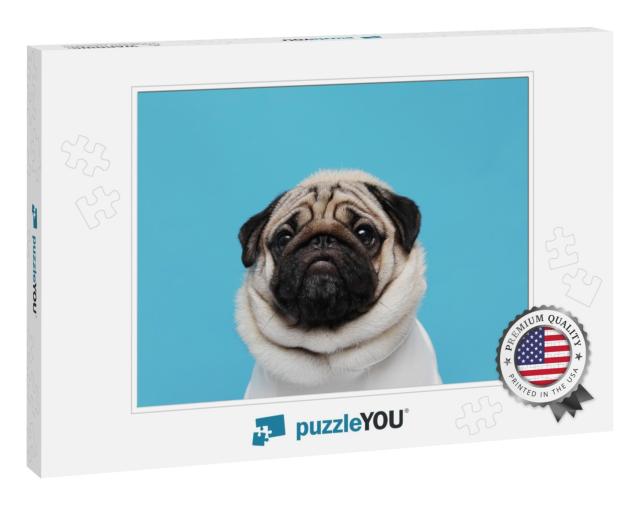 Adorable Dog Pug Breed Making Angry Face & Serious Face o... Jigsaw Puzzle