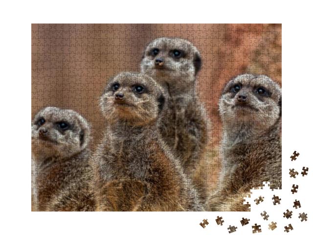 A Group of Cute Meerkats... Jigsaw Puzzle with 1000 pieces