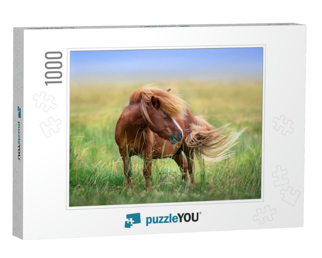 Pony with Long Mane & Tail Standing in Green Grass... Jigsaw Puzzle with 1000 pieces