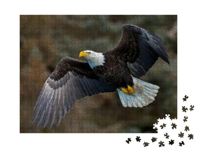American Bald Eagle in Flight Against Alaskan Mountainsid... Jigsaw Puzzle with 1000 pieces
