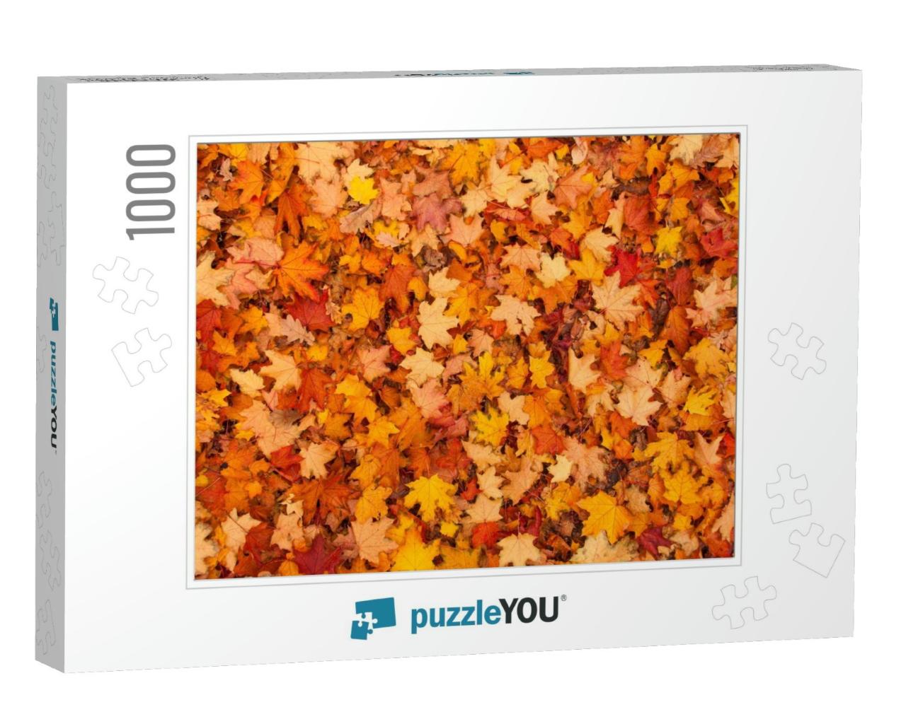 Red & Orange Autumn Leaves Background. Outdoor. Colorful... Jigsaw Puzzle with 1000 pieces