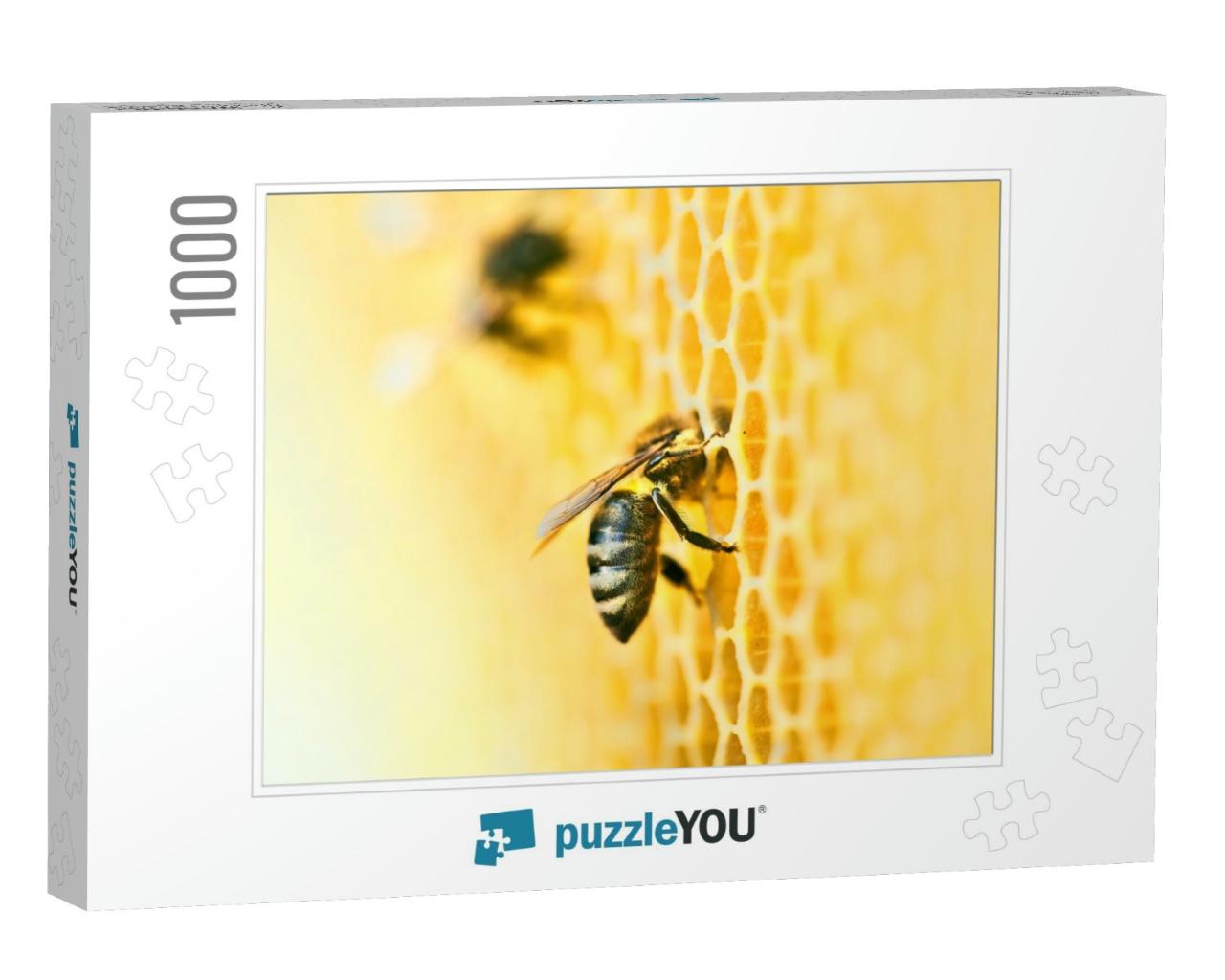 Macro Photo of a Bee Hive on a Honeycomb with Copy Space... Jigsaw Puzzle with 1000 pieces