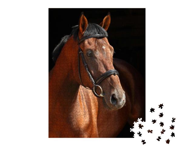 Chestnut Trakehner Horse Stallion Portrait... Jigsaw Puzzle with 1000 pieces