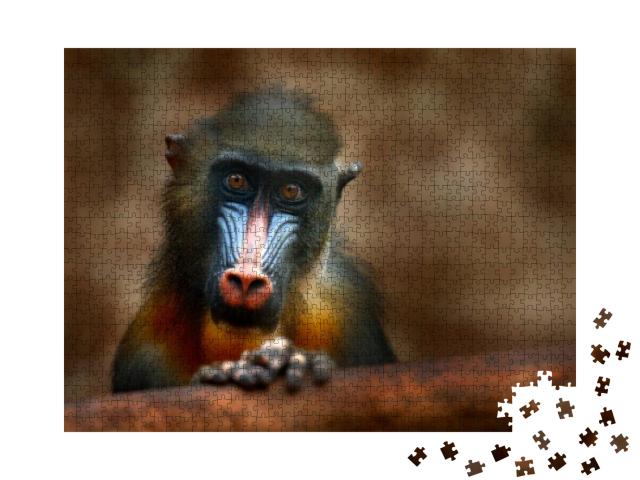Mandrill, Mandrillus Sphinx, Sitting on Tree Branch in Da... Jigsaw Puzzle with 1000 pieces