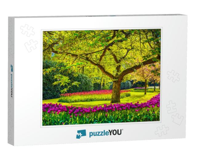 Tree & Red Tulip Flowers in Spring Garden. Keukenhof, Net... Jigsaw Puzzle