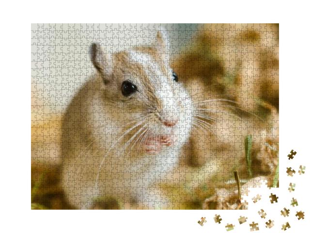 Mongolian Gerbils Meriones as Pet... Jigsaw Puzzle with 1000 pieces