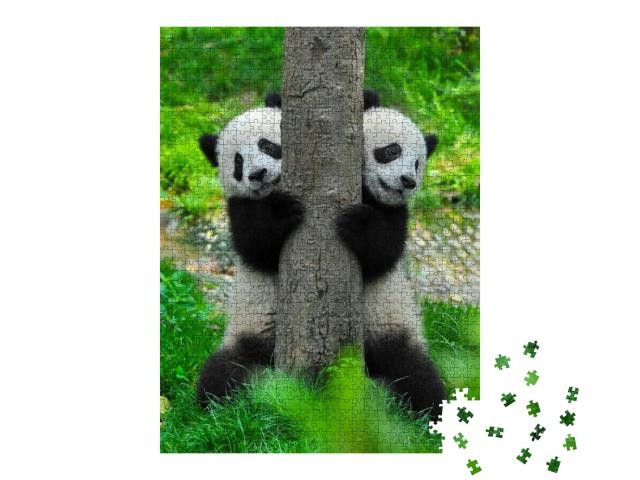 Panda Bear Twins... Jigsaw Puzzle with 1000 pieces