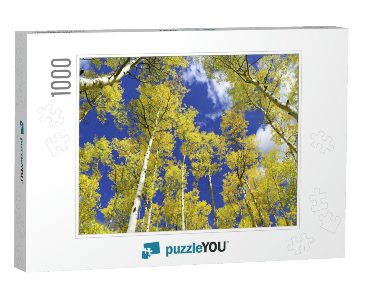 Autumn Foliage - Aspen Trees in Golden Yellow Against Blu... Jigsaw Puzzle with 1000 pieces