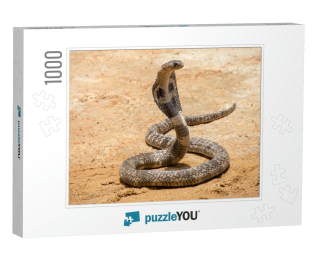 The King Cobra on Sand... Jigsaw Puzzle with 1000 pieces