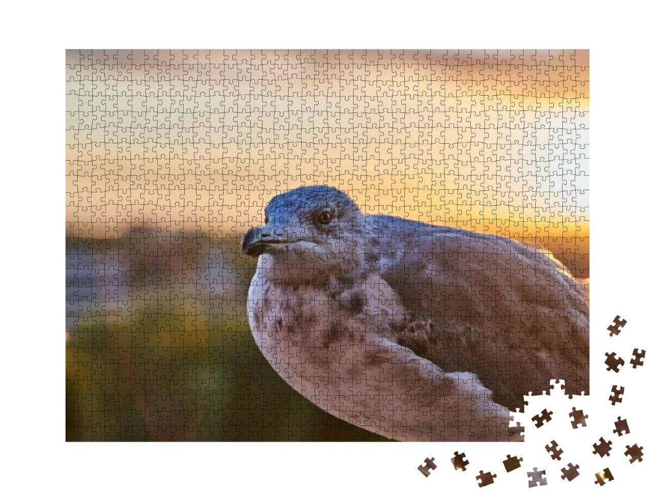 A Seagull Was Staring At the Camera. Seagull, Seagull Por... Jigsaw Puzzle with 1000 pieces