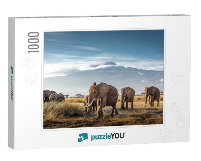 Herd of Large African Elephants Walking in Front of Mount... Jigsaw Puzzle with 1000 pieces