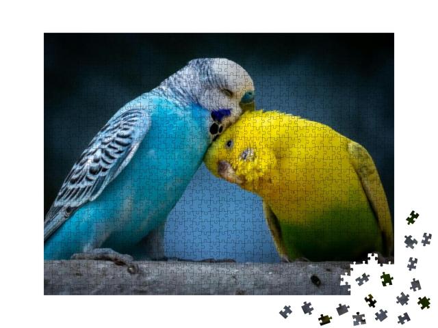 Portrait of Two Cute Cuddling Budgies Perched on Branch w... Jigsaw Puzzle with 1000 pieces
