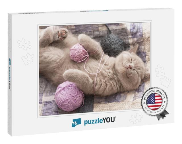 Sleeping Kitten Rare Color Lilac... Jigsaw Puzzle