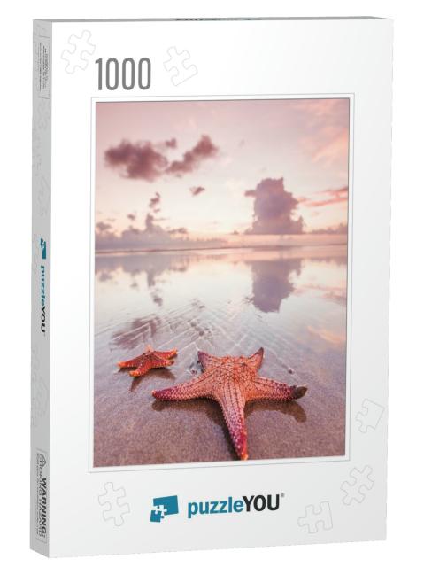 Two Starfish on Sea Beach At Sunset, Bali, Seminyak, Doub... Jigsaw Puzzle with 1000 pieces