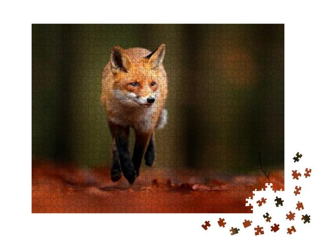 Red Fox Running on Orange Autumn Leaves. Cute Red Fox, Vu... Jigsaw Puzzle with 1000 pieces