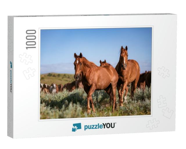 Beautiful Herd of American Quarter Horse Ranch Horses in... Jigsaw Puzzle with 1000 pieces