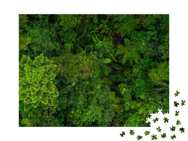 Aerial Top View of Tropical Forest - Beautiful Tranquil S... Jigsaw Puzzle with 1000 pieces