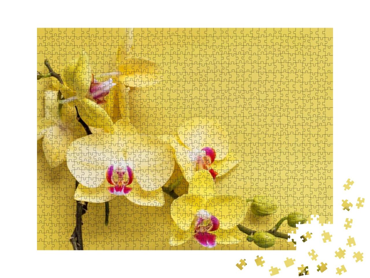 A Branch of a Blooming Yellow Orchid on a Yellow Backgrou... Jigsaw Puzzle with 1000 pieces