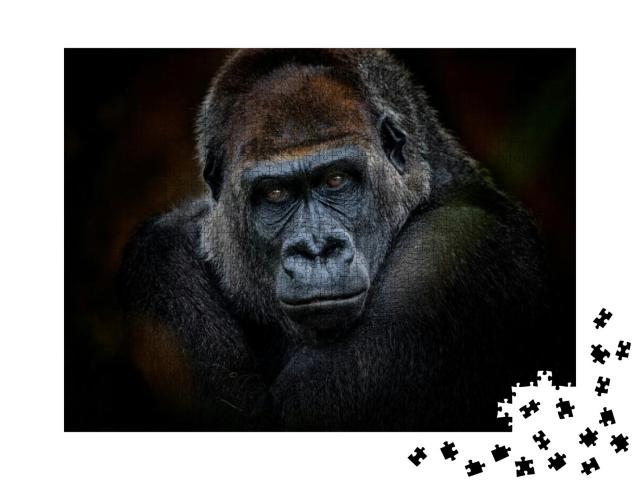 Portrait of Gorilla Dark Background... Jigsaw Puzzle with 1000 pieces