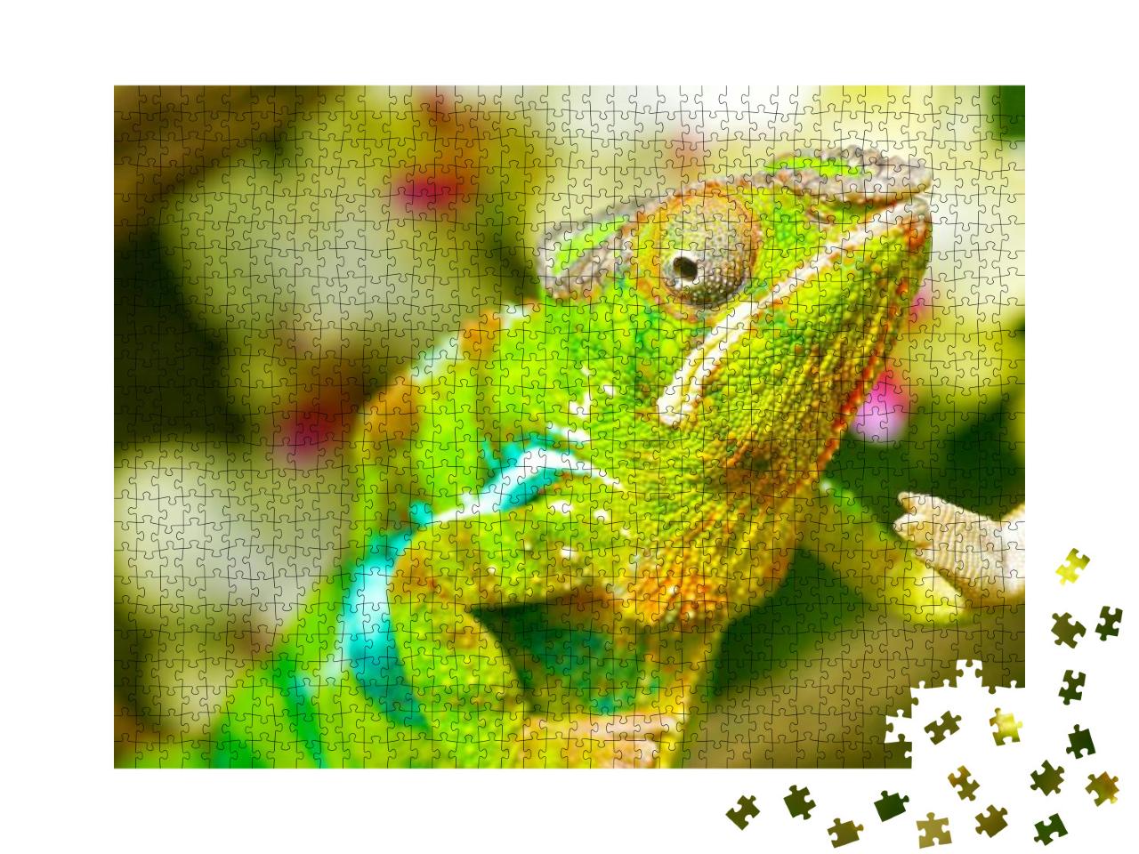 A Macro Closeup of Colorful Funny Green Yellow Blue Chama... Jigsaw Puzzle with 1000 pieces