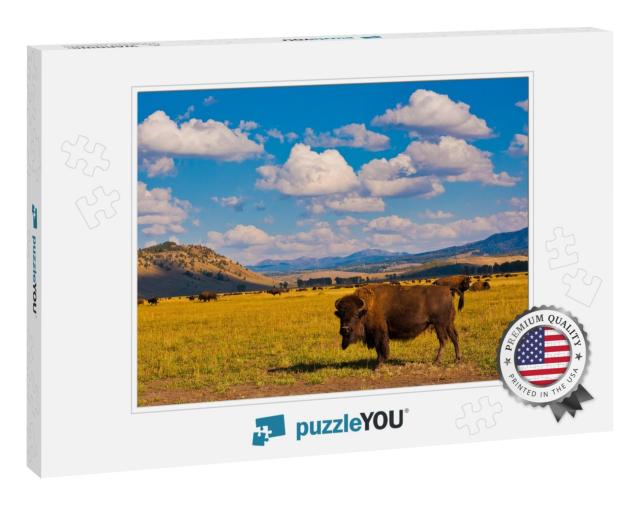 Bison Paradise in Yellowstone National Park, Usa... Jigsaw Puzzle