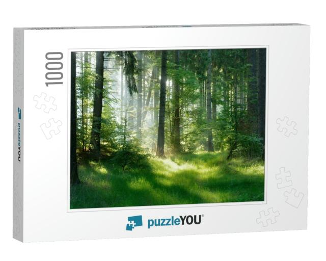 Natural Forest of Spruce Trees, Sunbeams Through Fog Crea... Jigsaw Puzzle with 1000 pieces