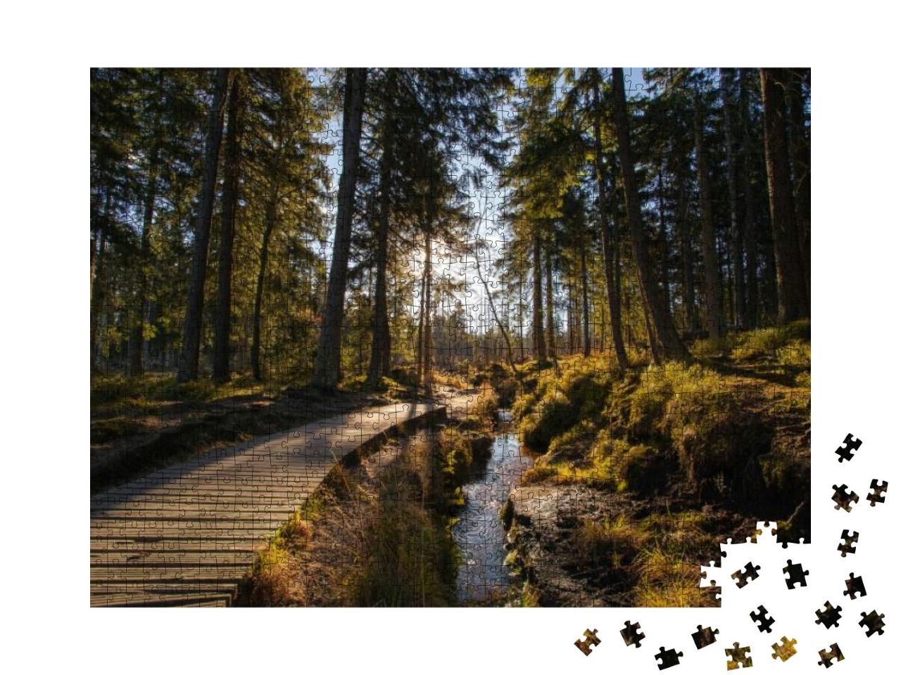 Autumn in German Mountains & Forests - During a Hiking To... Jigsaw Puzzle with 1000 pieces