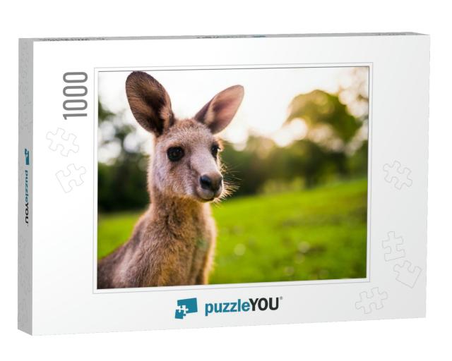 Young Kangaroo on East Coast of Australia. Close Up of He... Jigsaw Puzzle with 1000 pieces