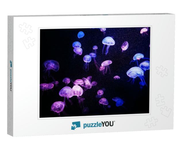 Beautiful Light Reflection on Jellyfish in the Aquarium... Jigsaw Puzzle