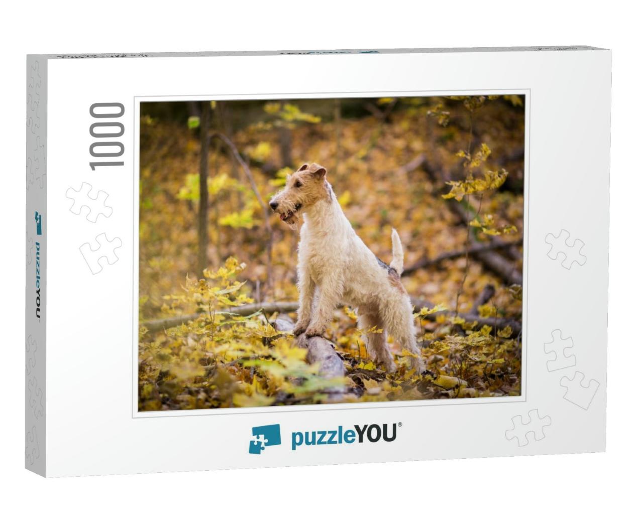 Wire-Haired Fox Terrier Autumn... Jigsaw Puzzle with 1000 pieces