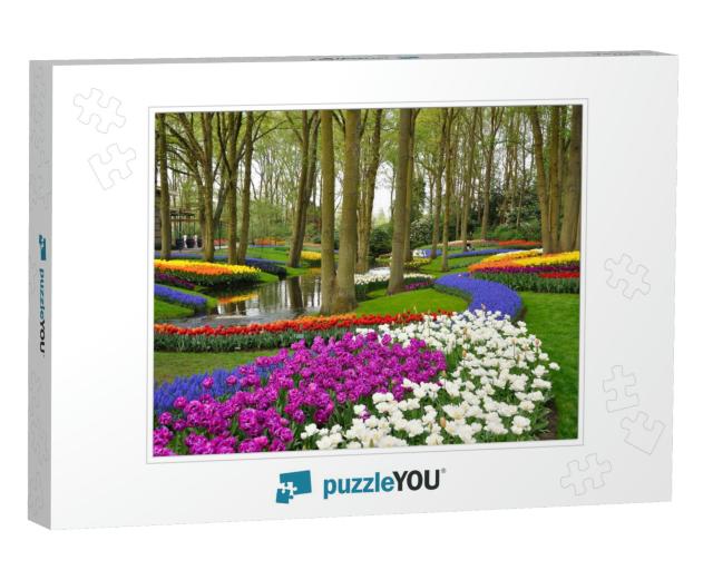 Colorful Blooming Tulips in Keukenhof Park in Holland... Jigsaw Puzzle