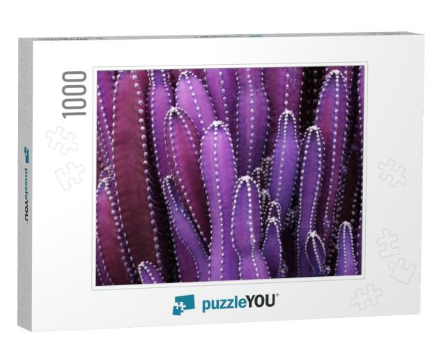 Closeup Purple Cactus Plant or Call Cereus Sp. Fairy Cast... Jigsaw Puzzle with 1000 pieces